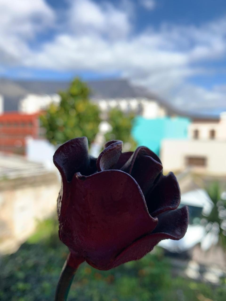 La Rose B&B Cape Town Exterior photo