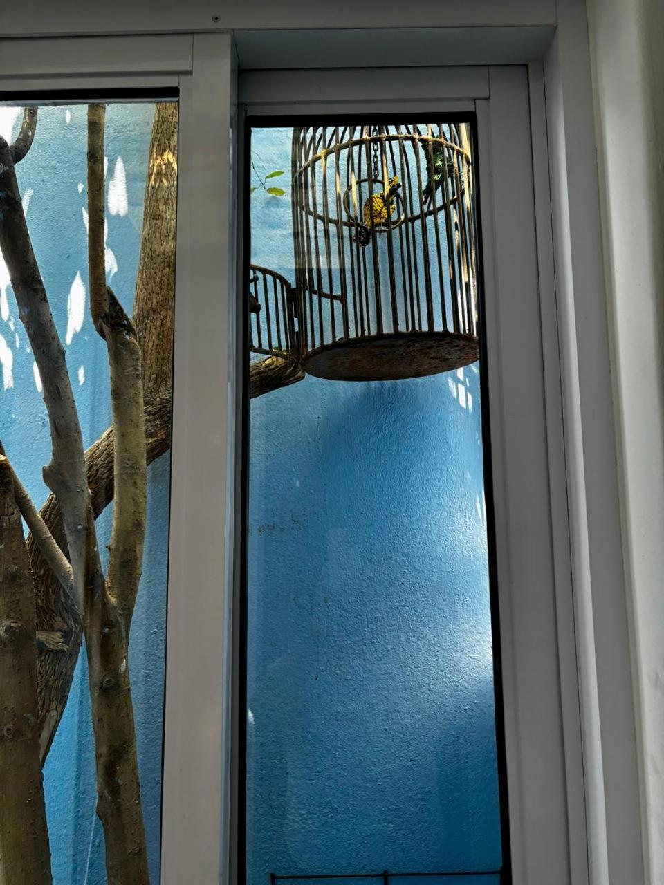 La Rose B&B Cape Town Exterior photo